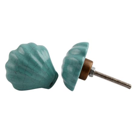 Sea Green Sea Shell Knob